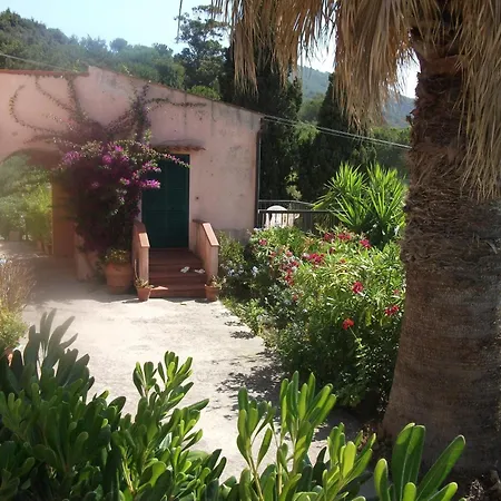 Ester Procchio Mare E Sole Marciana (Isola d'Elba)