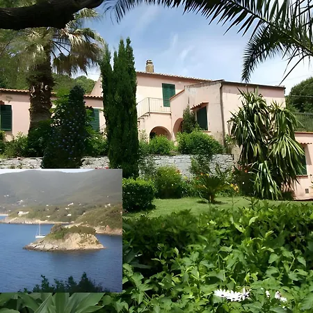 Ester Procchio Mare E Sole Marciana (Isola d'Elba)