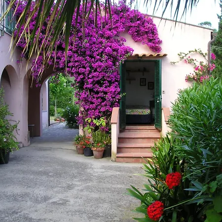 Ester Procchio Mare E Sole *