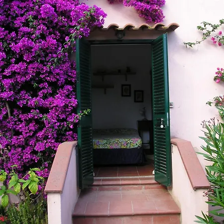 Ester Procchio Mare E Sole Tatil Evi *