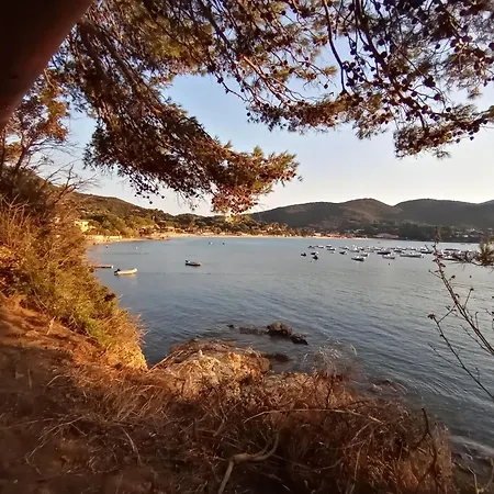 Ester Procchio Mare E Sole