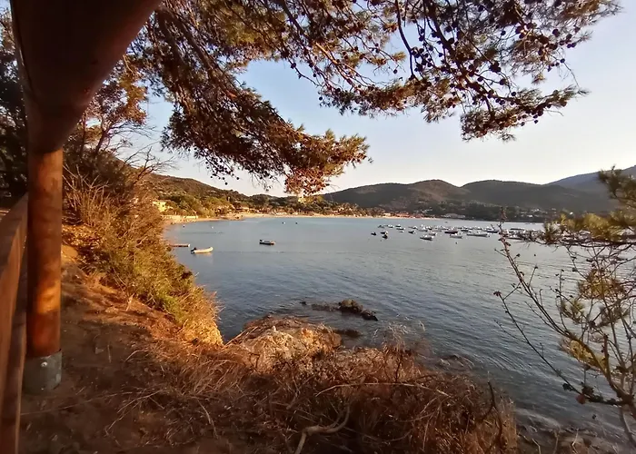 Ester Procchio Mare E Sole