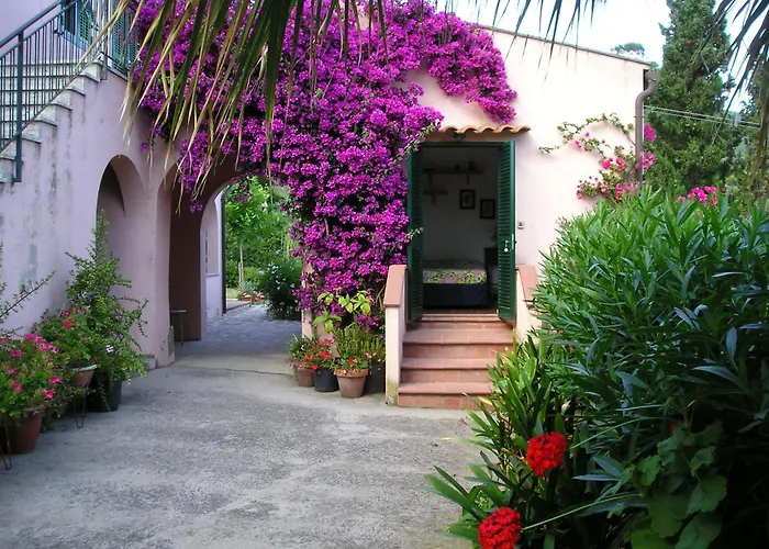 Ester Procchio Mare E Sole *